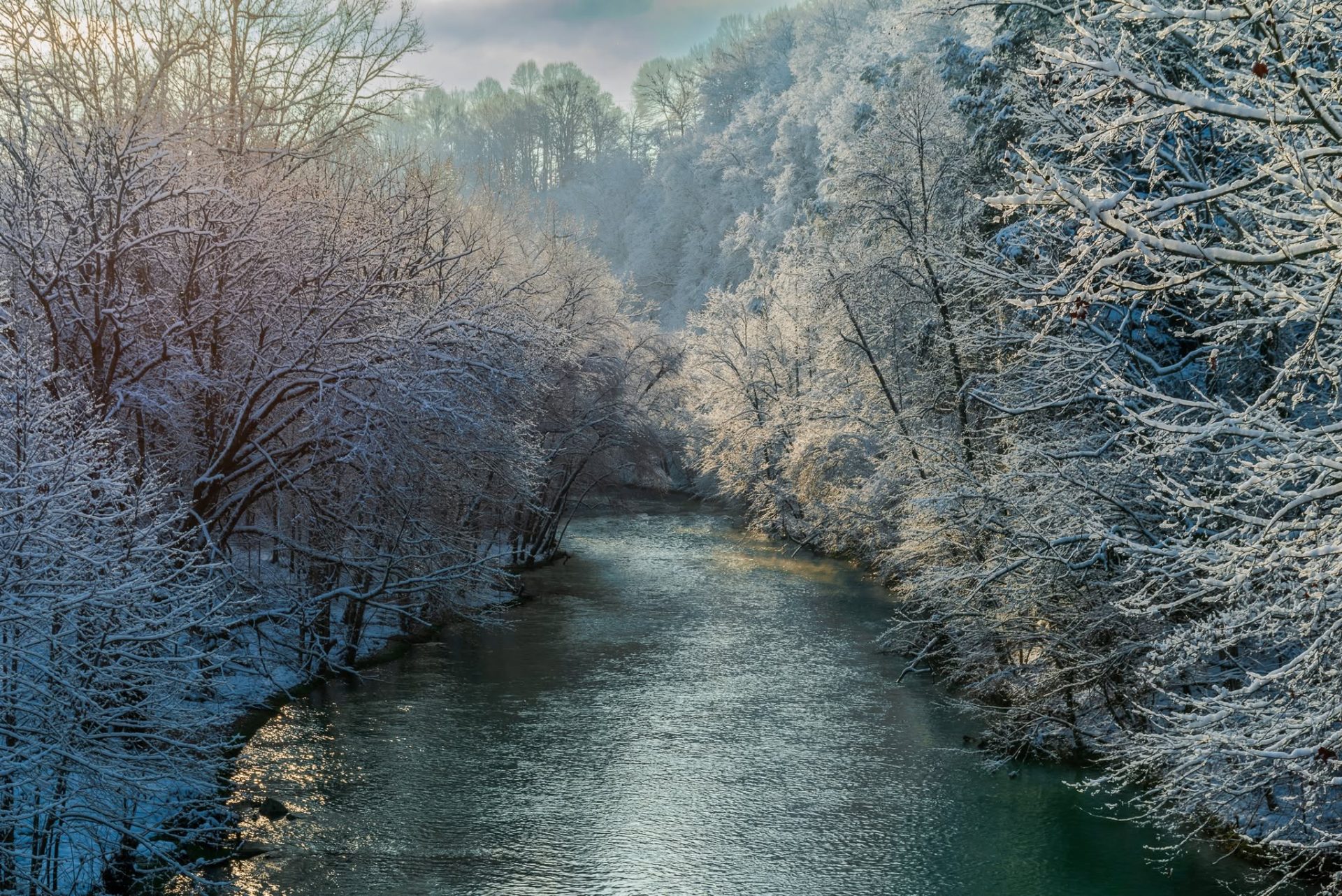 Snow-covered trees line the Wolf River in Pickett County, Tennessee.